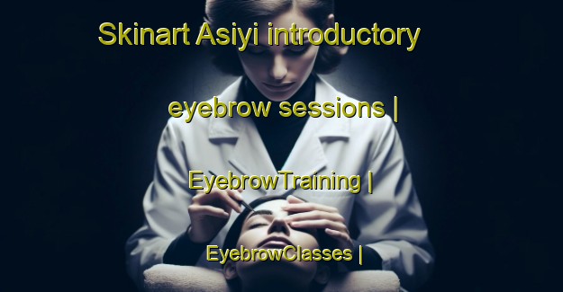 Skinart Asiyi introductory eyebrow sessions | EyebrowTraining | EyebrowClasses | SkinartTraining-China